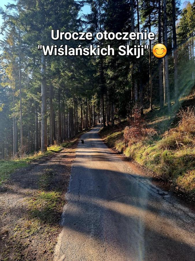Apartament Wislanskie Skije Exteriör bild